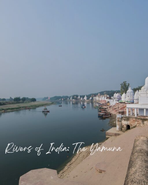 The Yamuna – Ganga's greatest tributary and a goddess in her own right – flows 1,376 kilometres from the Himalayas to Prayagraj, carrying with it the entire world of Krishna mythology. But away from Delhi's crowded ghats and Agra's Taj Mahal crowds, the Yamuna holds quieter, older stories.

At Bateshwar, a modest temple town roughly 70 kilometres from Agra, the river curves past nearly 100 ancient Shiva temples strung along its banks like a rosary. Built primarily in the 18th and 19th centuries after earlier structures were lost to flooding, these temples create one of North India's most photogenic riverside skylines – domes and spires reflecting in the Yamuna's waters, largely untouched by tourist crowds.

Once a year, Bateshwar transforms entirely. The annual cattle fair draws thousands of traders, farmers, and pilgrims for one of India's great rural gatherings – camels, horses, and cattle traded along the same ghats used for worship, a scene unchanged for generations. Dust, colour, bargaining, and devotion collide in a way few travellers ever witness.

Mela Kothi – Chambal Safari Lodge offers the ideal base for this experience. Positioned at the gateway to the Chambal region, the lodge combines rustic charm with genuine access to rural Uttar Pradesh: gharial and dolphin sightings on the Chambal River by day, Bateshwar's temples and fair by excursion, and evenings under open skies far from any tourist trail.

The Yamuna here isn't Delhi's crisis or Agra's monument – it's living tradition, unfiltered.

Images @chambalsafari

#EnrichingJourneys 
#TravelWithEJ 
#YamunaRiver #Bateshwar #ChambalSafariLodge #UttarPradesh #SacredRivers #IndianRivers #RiversOfIndia #BateshwarFair #SacredSpaces #SpiritualIndia
#India #IndiaTravel #TravelIndia #ExploreIndia #IncredibleIndia #UttarPradeshTravel #RuralIndia #RiverCulture #OffTheBeatenPath
#TravelDeeper #CulturalHeritage #SacredIndia #RiverLife #AuthenticIndia #HeritageTravel #IndianCulture #IndiaExperts #WildlifeIndia