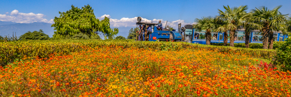 Darjeeling Himalayan Toy Train on its journey