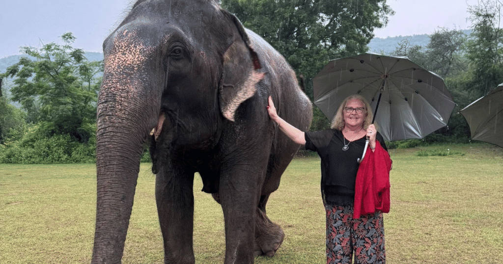 Woman travelling in India meeting an elephant on a private wildlife experience